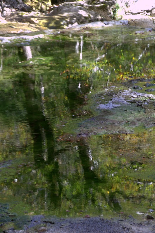 reflejos de otoo