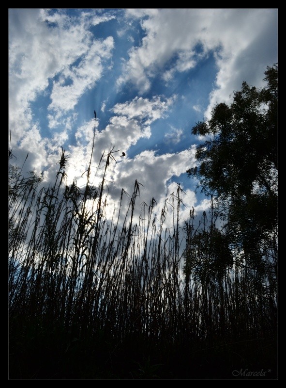 As pinta el cielo de domingo por mis pagos...