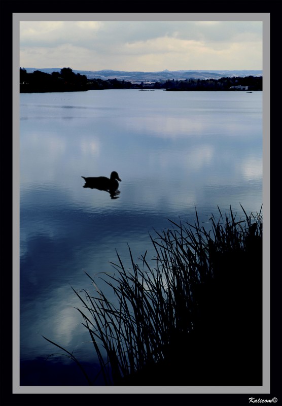 El solitario del lago azul