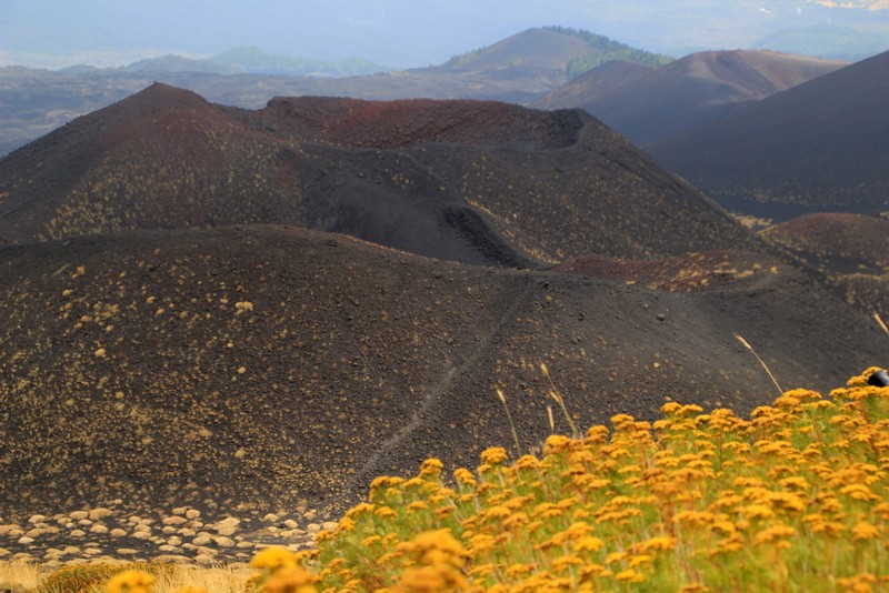 PN ETNA