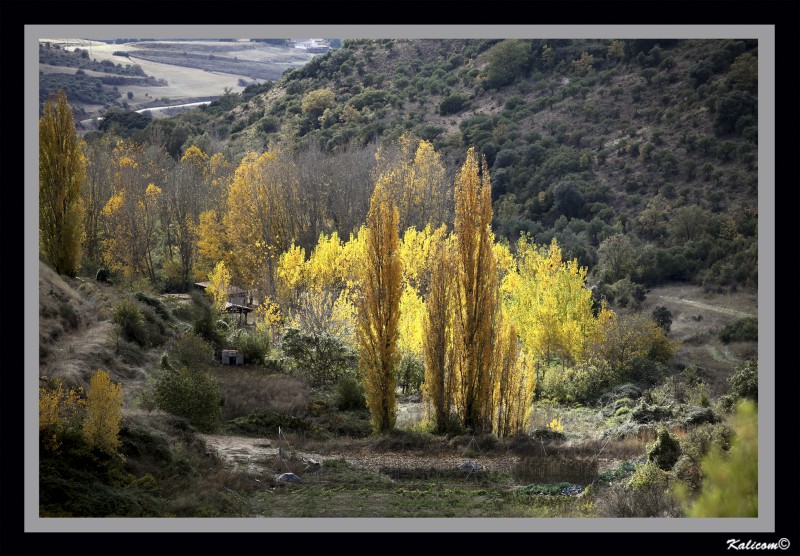 El valle de las luces