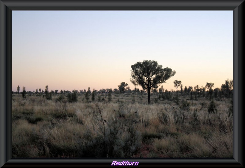 Alrededores de Uluru , al amanecer