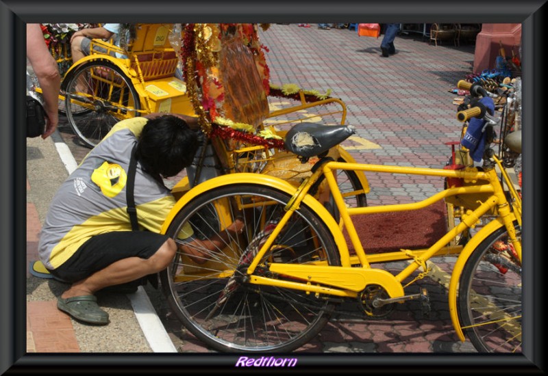 Engalanando el ciclo-taxi