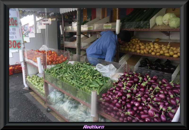 No faltan las verduras