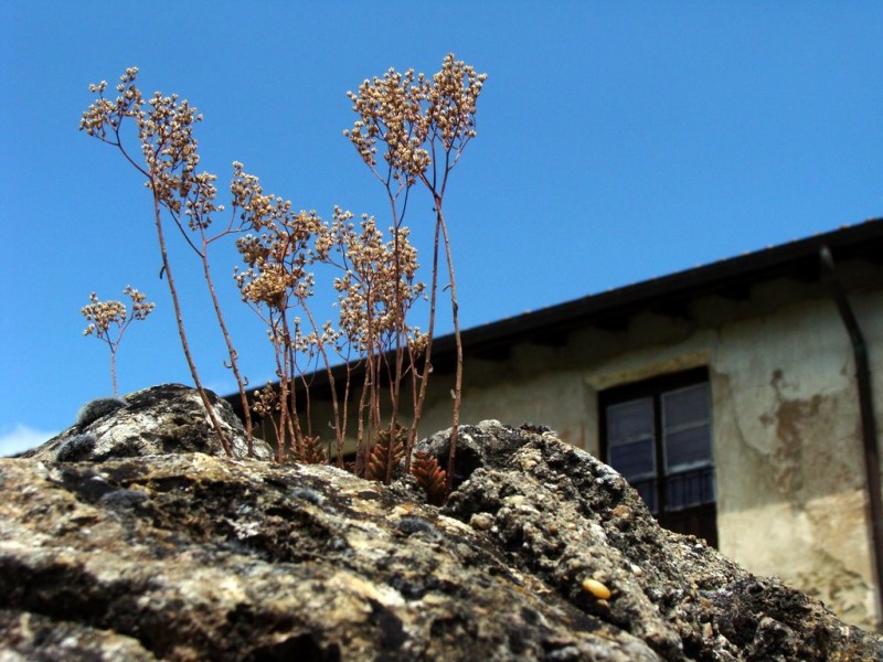 mirando al cielo