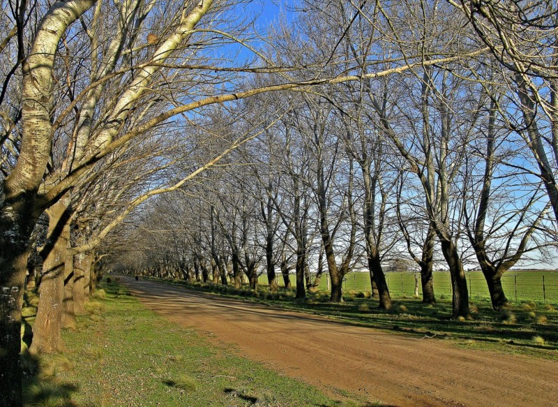 TARDE DE INVIERNO