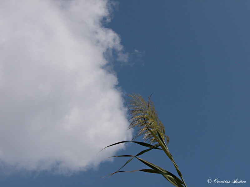 Abrazando el cielo