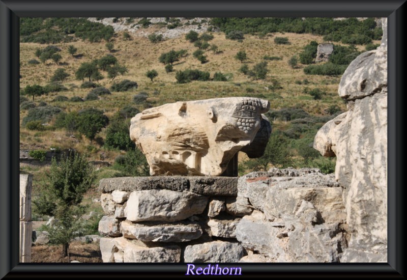 Capitel de una columna