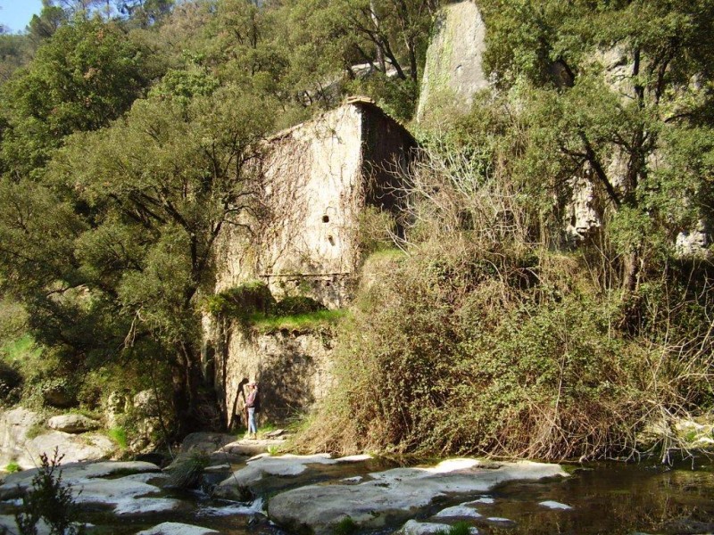 RIU TENES. SANT QUIRZE DE SAFAJA. EL MOIANS. CATALUNYA