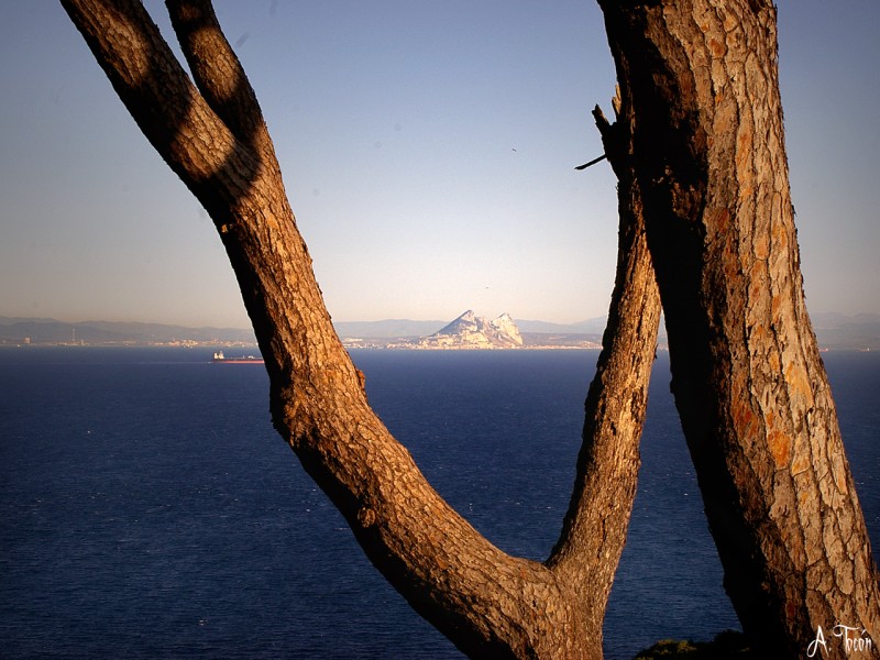 Al Norte Gibraltar