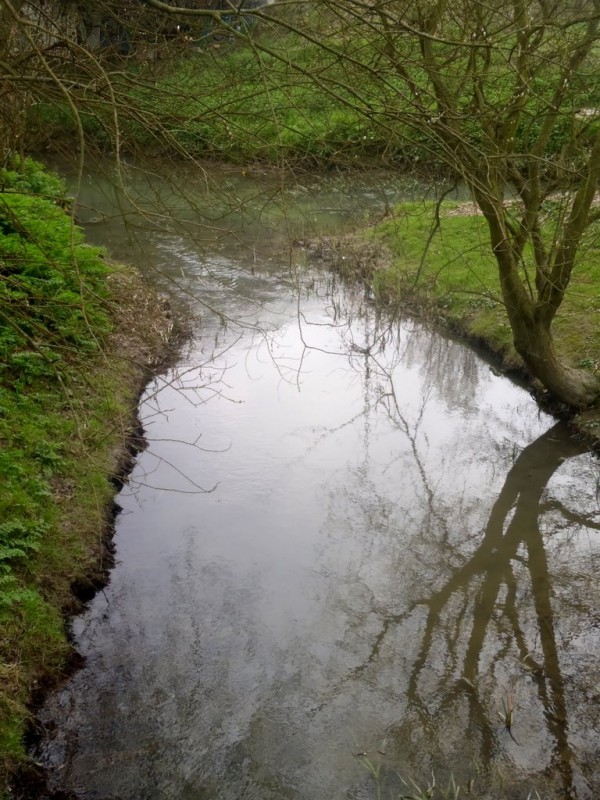 reflejos de Bolue