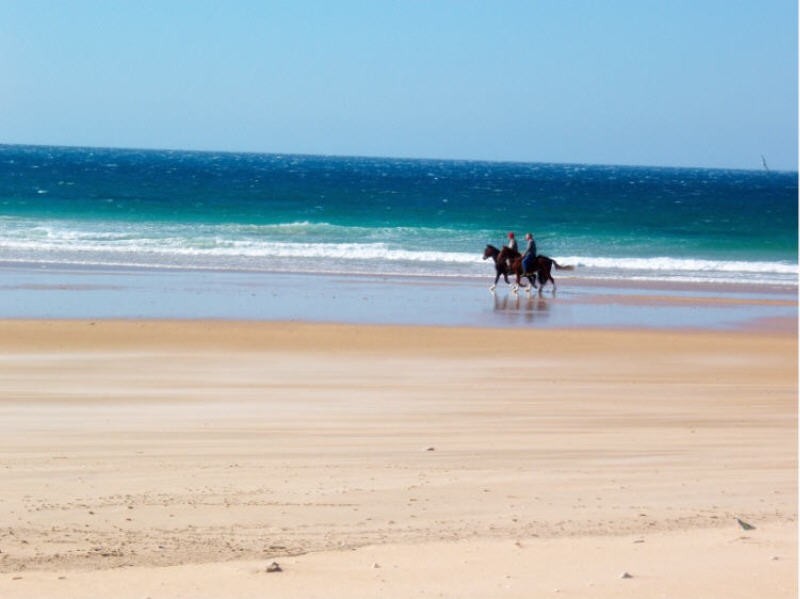 Paseo a caballo