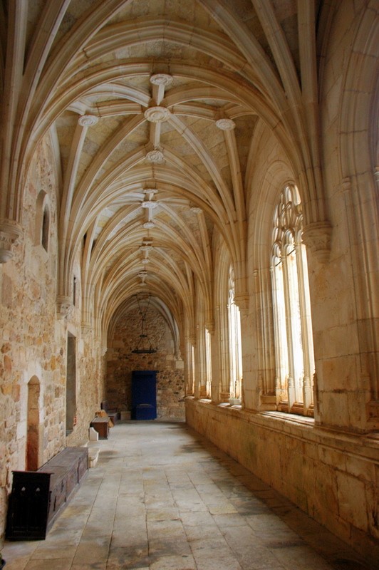 Claustro