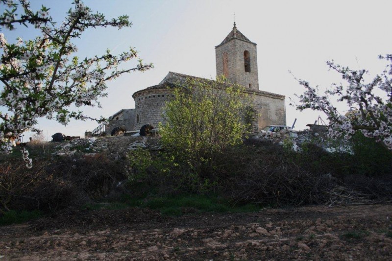 SANT PERE DE L\'AMETLLA DE SEGARRA. 