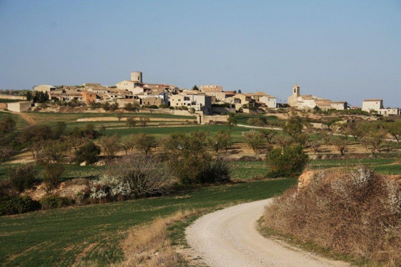 VISTA DE L\'ATMELLA DE SEGARRA