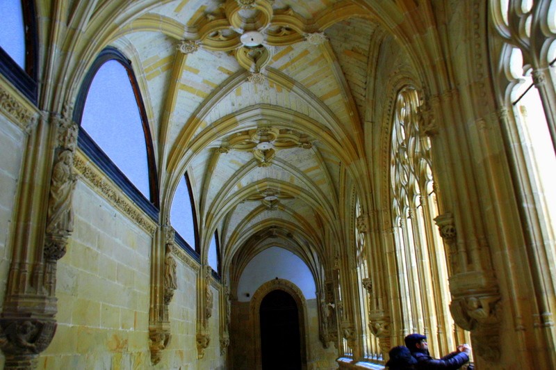 Claustro 2