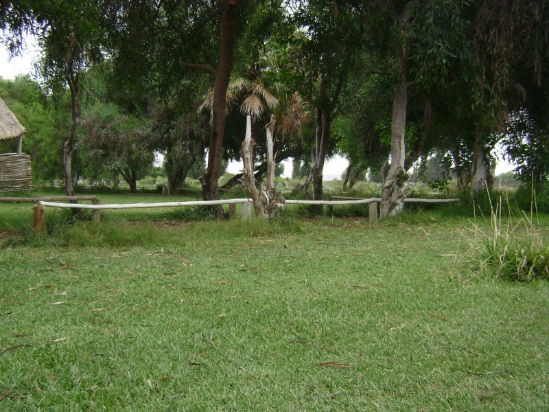 Paraje en el desierto