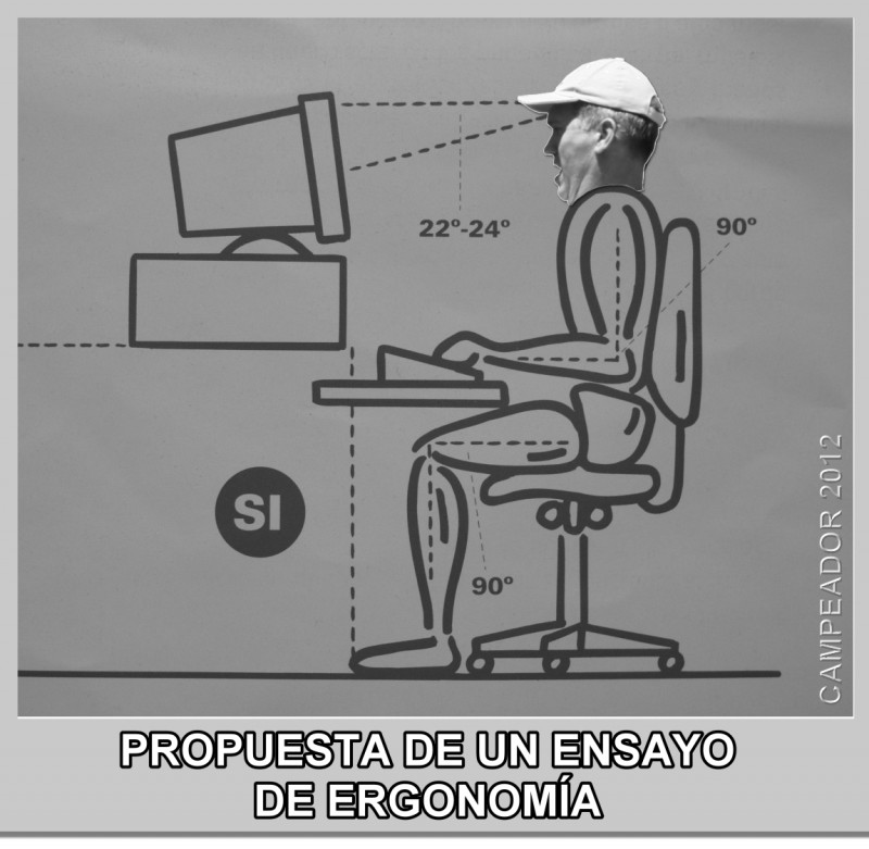 Propuesta de un ensayo de ergonoma