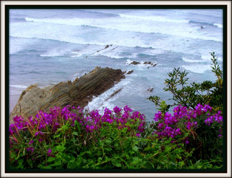 Flores sobre el mar