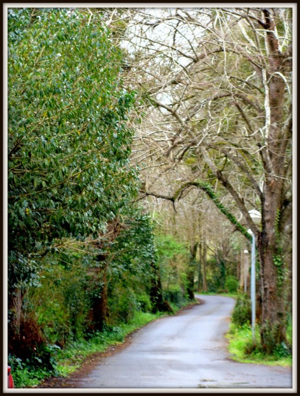 Camino al castillo de Butron