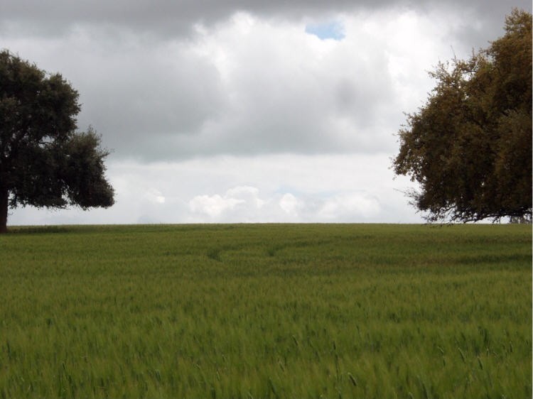 Camino al cielo