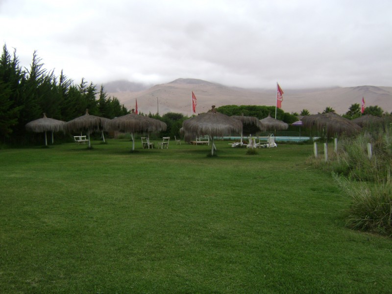 Un oasis en el desierto