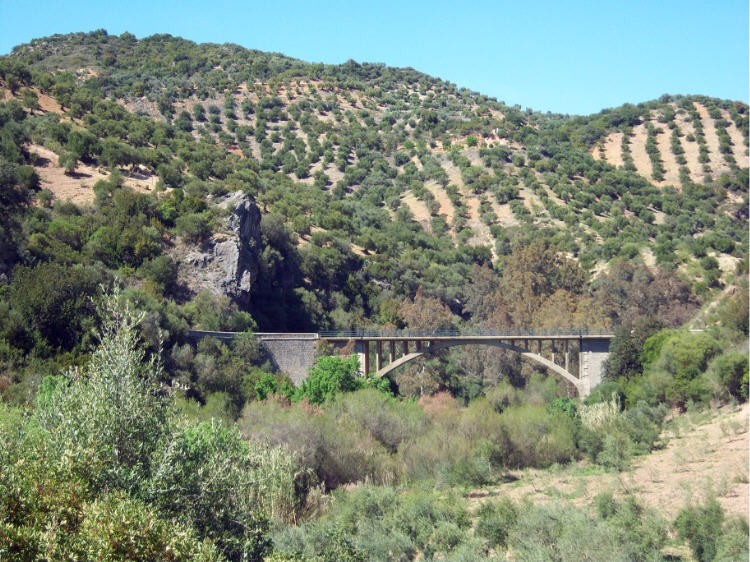 Puente sobre Guadalete