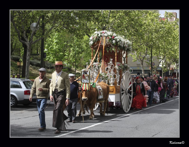 La Virgen de Mayo