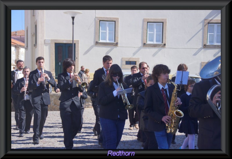 Variedad de instrumentos musicales