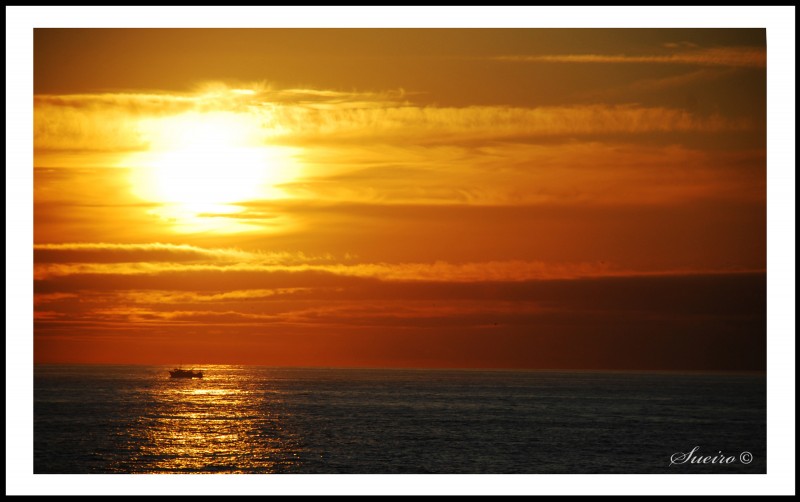 bajo  el sol al atardecer