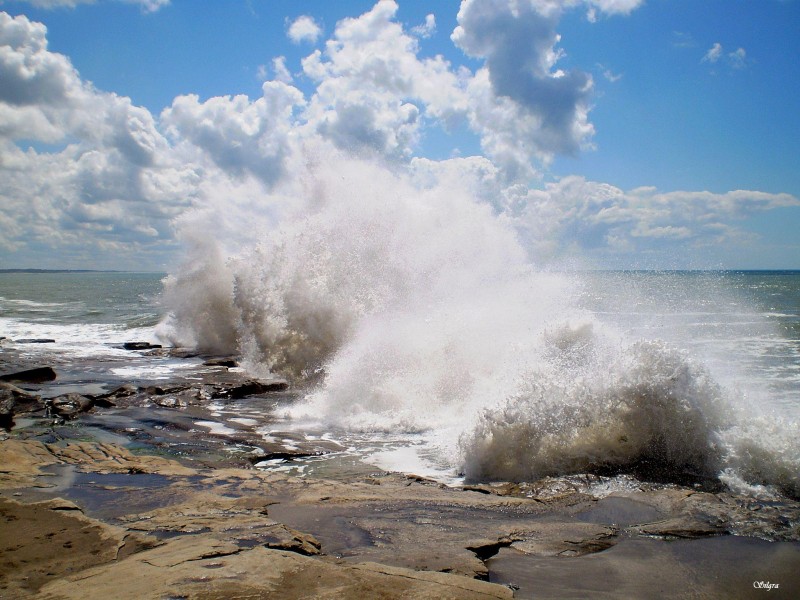 Entre olas y nubes