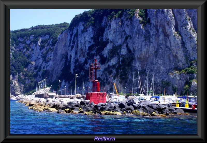 El puerto deportivo de Capri