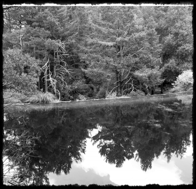 Reflejos en blanco y negro