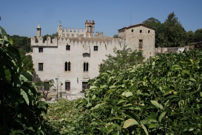 EL CASTELL DE GODMAR O DE GOTMAR, CONEGUT TAMB PER  CAL COMTE 