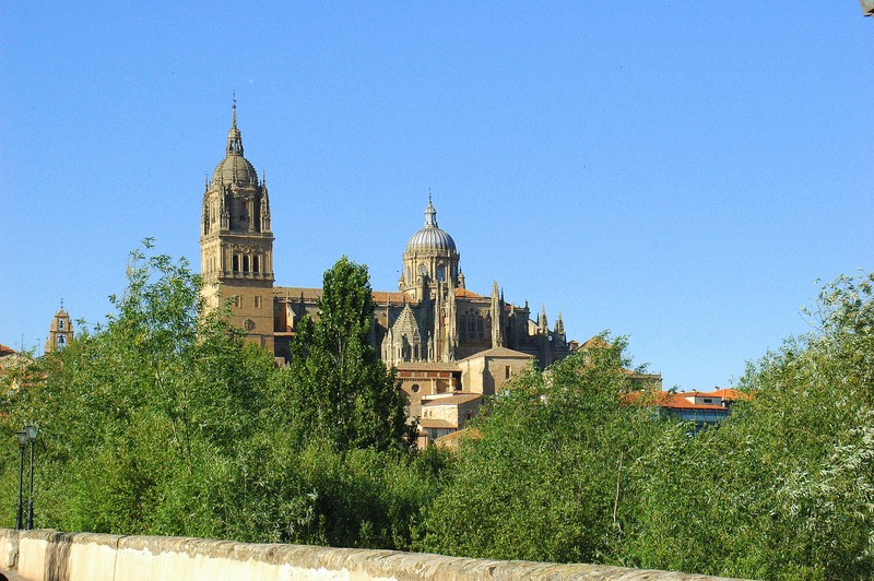 Panormica