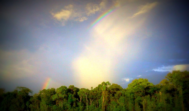 Quien borro el arcoiris?