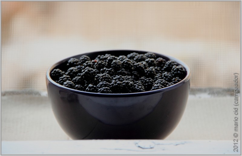 tazn de moras - bowl of berries. Photo by Campeador (Mario Cid).