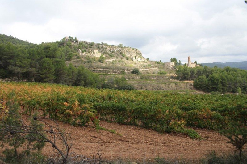 SELMA, EL POBLE OBLIDAT. EL CAMP SOBIR DE TARRAGONA