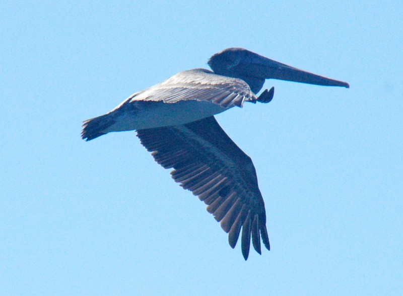 Secuencia de vuelo 2