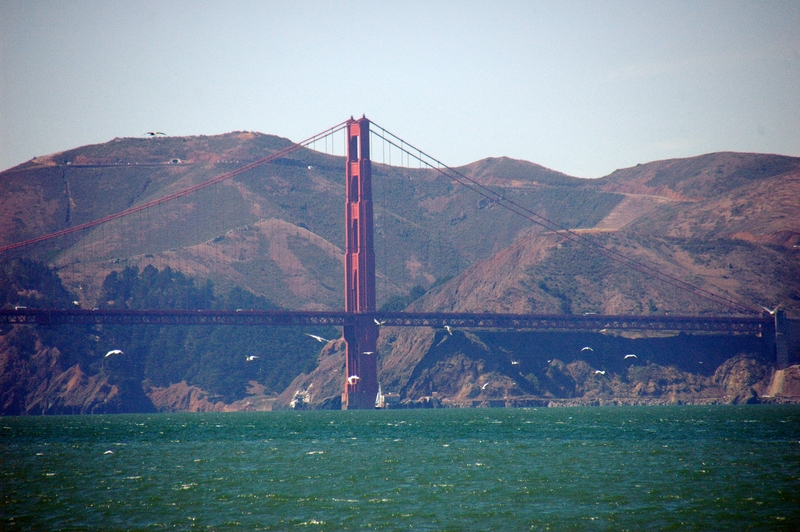 Golden Gate 2