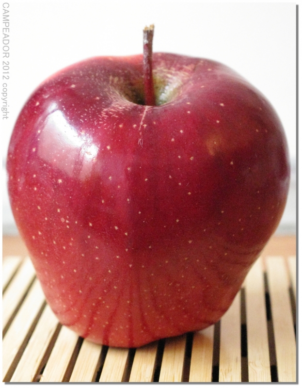 red apple - manzana roja. Photo by Campeador (Mario Cid).