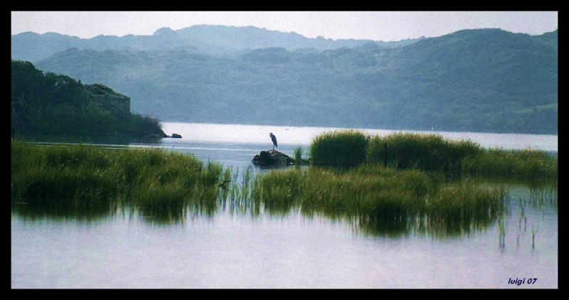 Amanece en SAlbufera