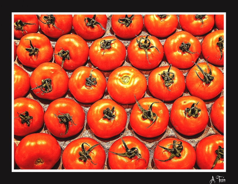 Tomates1