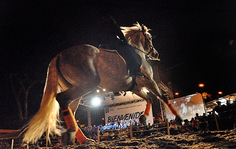 Noche Andaluza