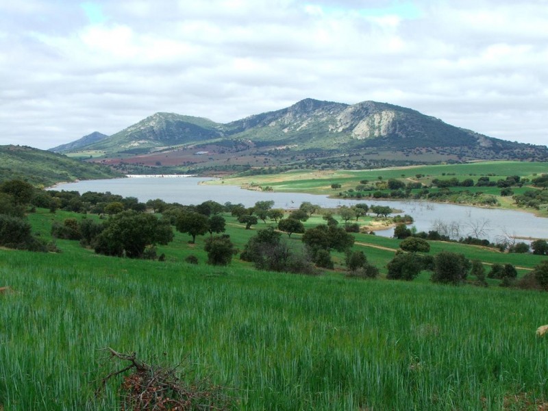 pantano la garza