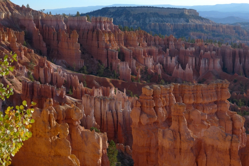 Hoodoos