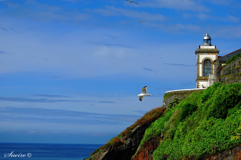 faro de luarca