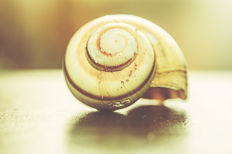 Caracol