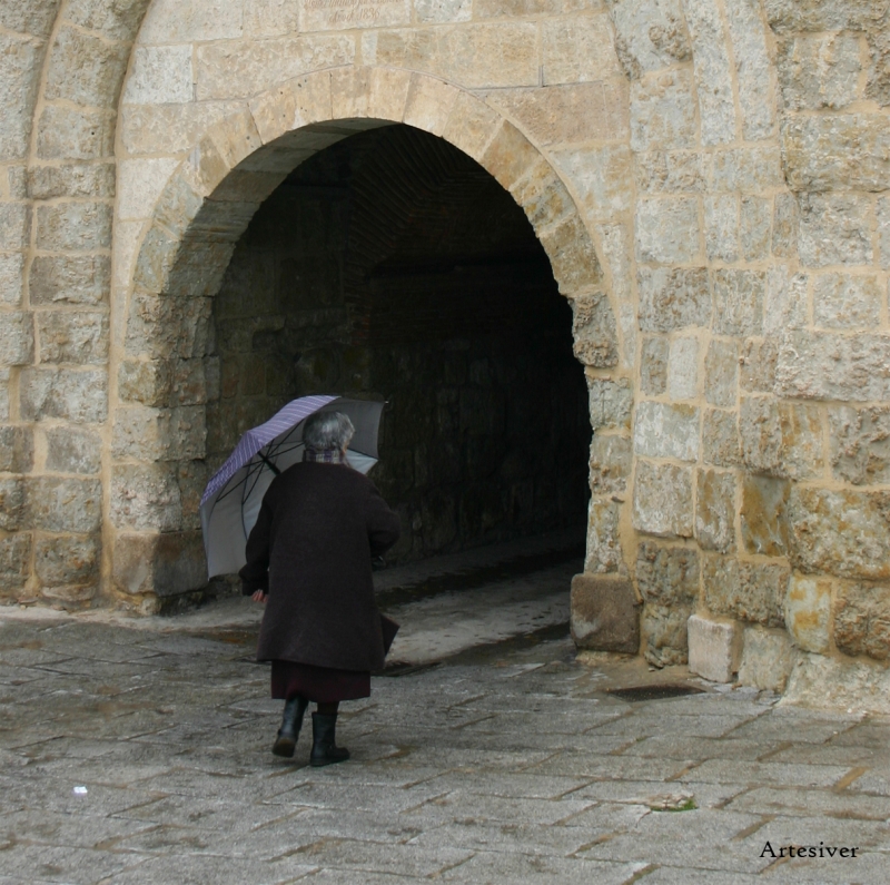 puerta muralla