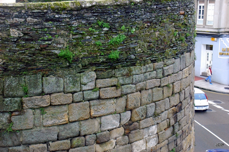 Muralla, detalle